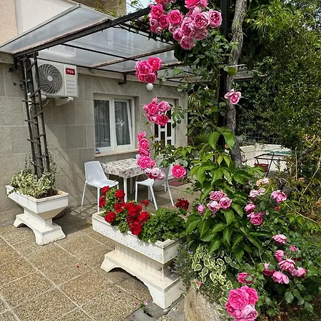 Апартаменты Dida *