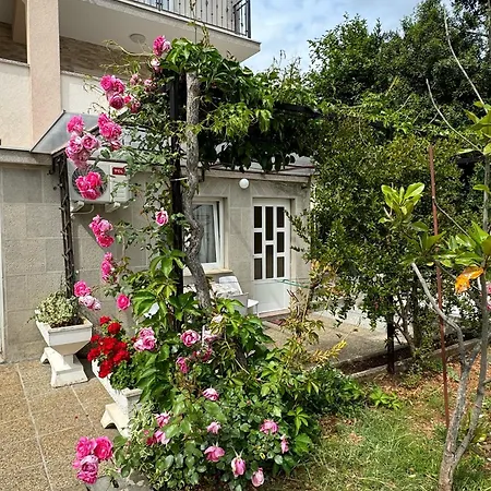 Apartment Dida *